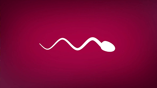 animated GIF of sperm