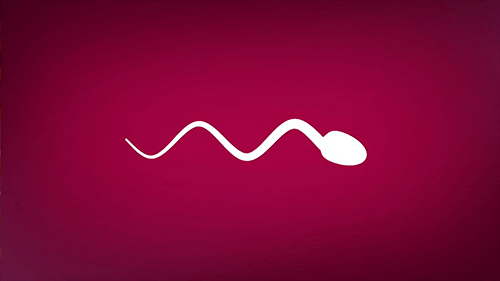 animated GIF of sperm