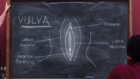 vulva animation