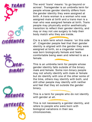 Explanations of gender identities and pronouns