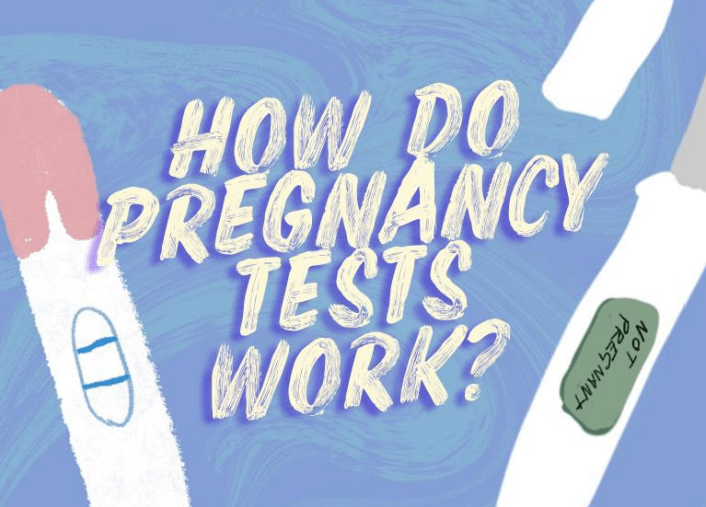 How Do Pregnancy Tests Work? ellaone UK