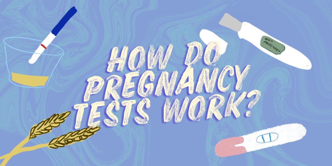 How Do Pregnancy Tests Work? ellaone UK