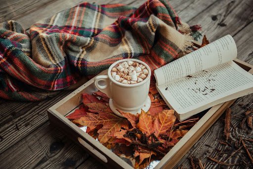 Hot chocolate with marshmallows on autumn leaves with a book